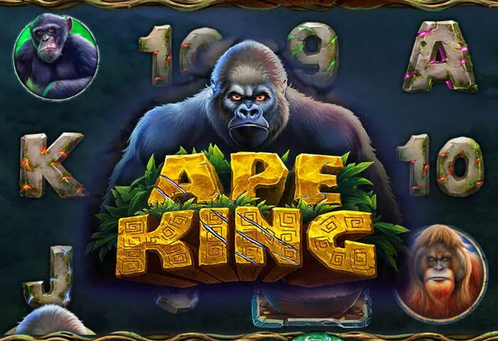 DK88 casino: Bonus sa deposito at mga reward na cash back